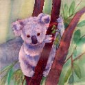 Nr. i album: 60<br>
Motiv: Koala<br>
Årstal: 2015<br>
Str.: 25x25 cm.<br>
Materiale: Akvarel, 300 g